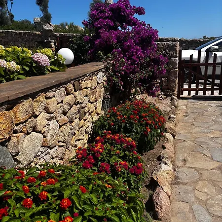 La Casa Di Veronica Holiday home Olbia